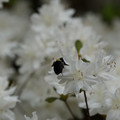 DSC02622.JPG