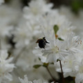 DSC02624.JPG