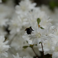 DSC02625.JPG