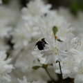 DSC02626.JPG