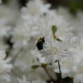DSC02627.JPG