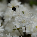 DSC02629.JPG