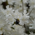 DSC02630.JPG