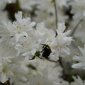 DSC02631.JPG