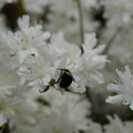 DSC02632.JPG