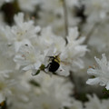 DSC02633.JPG