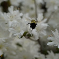 DSC02634.JPG