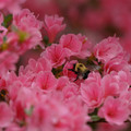 DSC02635.JPG