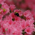 DSC02636.JPG