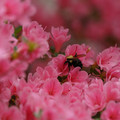 DSC02637.JPG