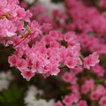 DSC02639.JPG