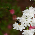 DSC02640.JPG