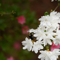 DSC02641.JPG