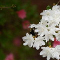 DSC02642.JPG
