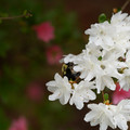 DSC02643.JPG