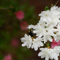 DSC02644.JPG