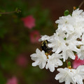DSC02645.JPG