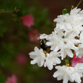 DSC02646.JPG