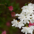 DSC02647.JPG