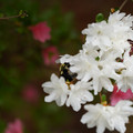 DSC02648.JPG