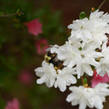 DSC02649.JPG