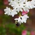 DSC02650.JPG