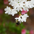 DSC02651.JPG