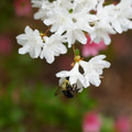 DSC02652.JPG