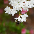 DSC02653.JPG