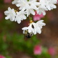 DSC02654.JPG