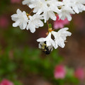 DSC02655.JPG