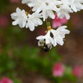 DSC02656.JPG