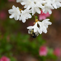 DSC02657.JPG