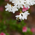 DSC02658.JPG