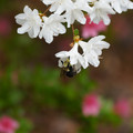 DSC02659.JPG