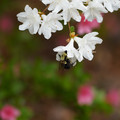 DSC02661.JPG