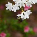 DSC02662.JPG