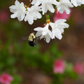 DSC02664.JPG