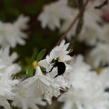 DSC02667.JPG