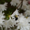DSC02668.JPG