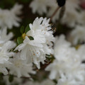 DSC02669.JPG