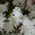 DSC02670.JPG