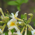 DSC02680.JPG