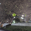 IMG_20260402_203708_844.jpg