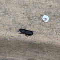 IMG_20260413_175056_116.jpg