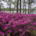 IMG_20260418_152725_059.jpg
