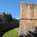 IMG_20260425_170412_918.jpg