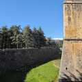 IMG_20260425_170417_241.jpg
