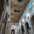 IMG_20260425_180203_992.jpg