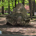 IMG_20260426_130203_815.jpg